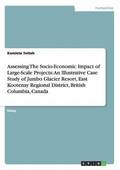 Assessing The Socio-Economic Impact of Large-Scale Projects
