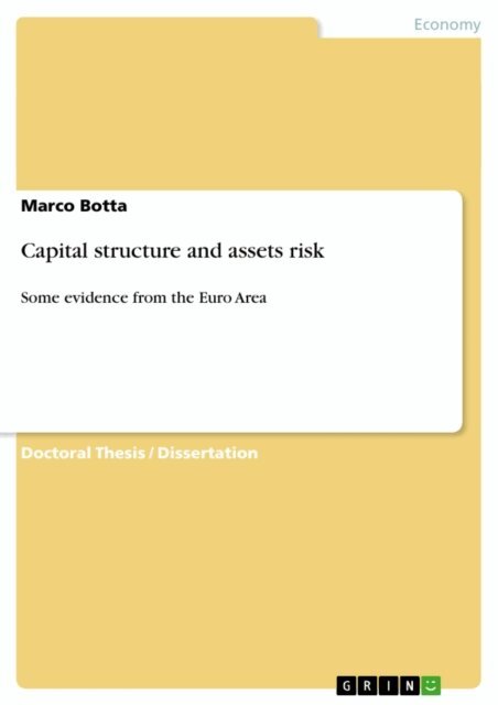 Marco Botta - Capital structure and assets risk, E-bok