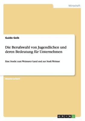 Guido Geib - Berufswahl von Jugendlichen und deren Bedeutung für Unternehmen, Häftad
