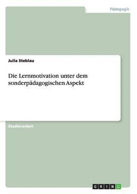 Julia Steblau - Lernmotivation unter dem sonderpädagogischen Aspekt, Häftad