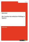 Ursachen des Arabischen Fr�hlings in �gypten