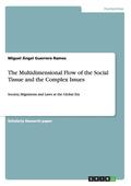 The Multidimensional Flow of the Social Tissue and the Complex Issues