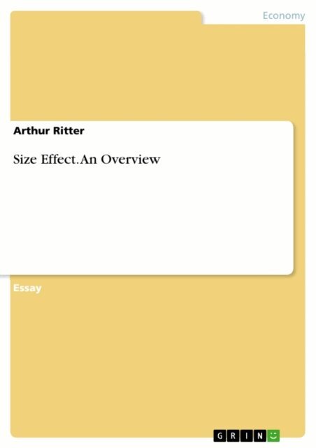 Arthur Ritter - Size Effect. An Overview, E-bok