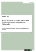 Kooperation mit Heranwachsenden im Sozialraum (kooperativ-integrative P�dagogik)