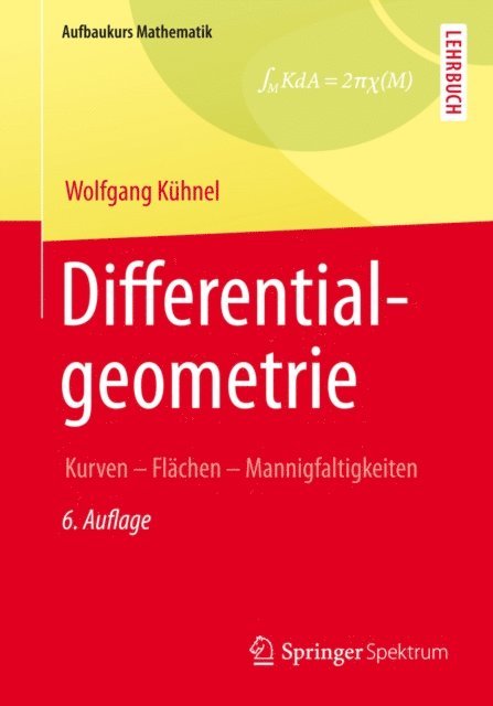 Wolfgang Kuhnel - Differentialgeometrie, E-bok