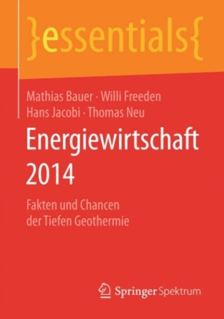 Thomas Neu, Hans Jacobi, Willi Freeden, Mathias Bauer - Energiewirtschaft 2014, E-bok