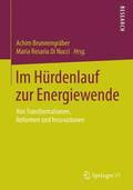 Im Hrdenlauf zur Energiewende