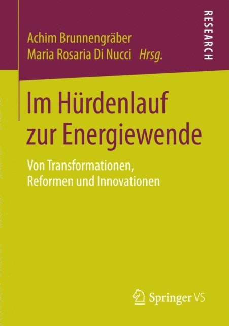 Dr.Maria Rosaria Di Nucci, Achim Brunnengraber - Im Hürdenlauf zur Energiewende, E-bok