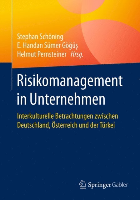 Helmut Pernsteiner, E. Handan Sumer Gogus, Stephan Schoning - Risikomanagement in Unternehmen, E-bok