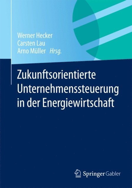 Arno Muller, Carsten Lau, Werner Hecker - Zukunftsorientierte Unternehmenssteuerung in der Energiewirtschaft, E-bok