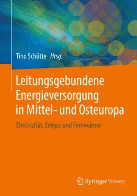 Tino Schutte - Leitungsgebundene Energieversorgung in Mittel- und Osteuropa, E-bok