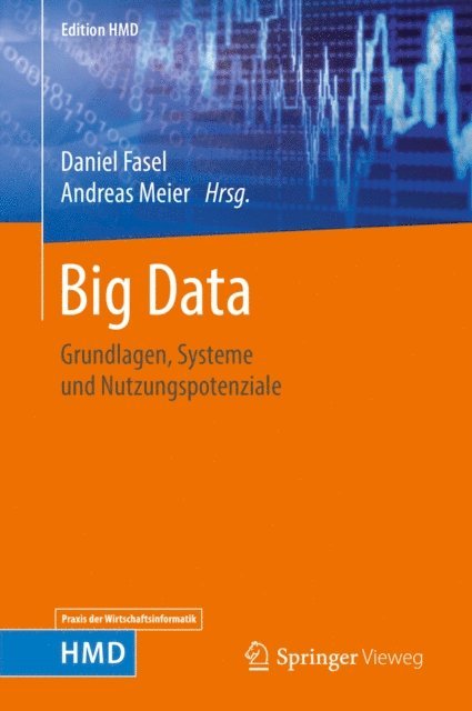 Andreas Meier, Daniel Fasel - Big Data, E-bok