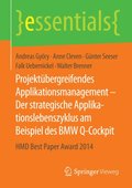 Projektübergreifendes Applikationsmanagement ? Der strategische Applikationslebenszyklus am Beispiel des BMW Q-Cockpit