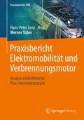 Praxisbericht Elektromobilitt und Verbrennungsmotor