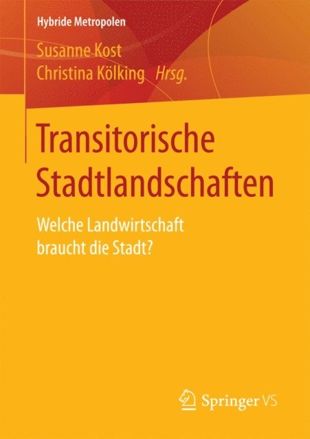 Christina Kolking, Susanne Kost - Transitorische Stadtlandschaften, E-bok