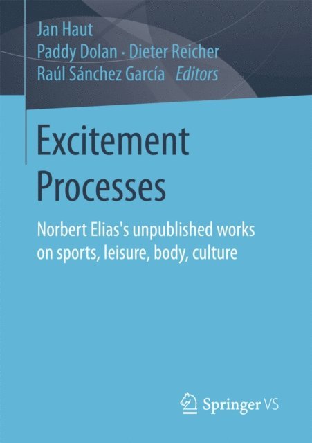 Raul Sanchez Garcia, Dieter Reicher, Paddy Dolan, Jan Haut - Excitement Processes, E-bok