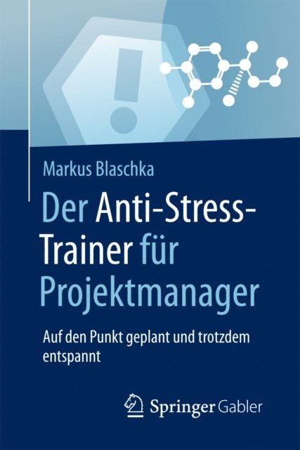 Markus Blaschka - Der Anti-Stress-Trainer für Projektmanager, E-bok
