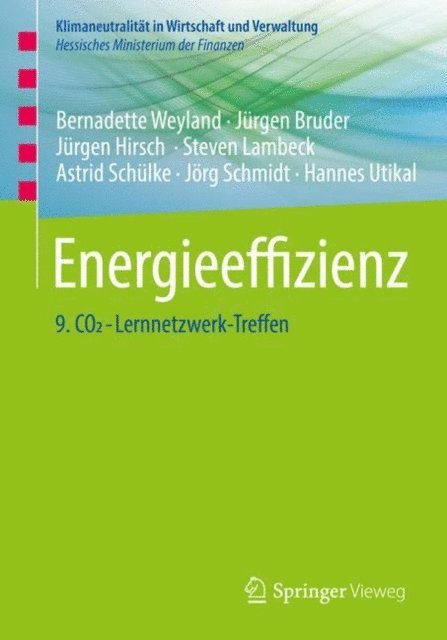 Hannes Utikal, Jorg Schmidt, Astrid Schulke, Steven Lambeck, Jurgen Hirsch, Jurgen Bruder, Bernadette Weyland - Energieeffizienz, E-bok