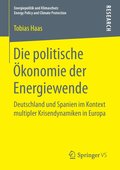 Die politische OEkonomie der Energiewende
