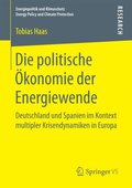 Die politische Ã¿konomie der Energiewende