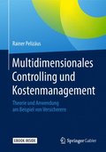 Multidimensionales Controlling Und Kostenmanagement: Theorie Und Anwendung Am Beispiel Von Versicherern