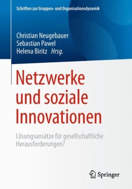 Helena Biritz, Sebastian Pawel, Christian Neugebauer - Netzwerke und soziale Innovationen, E-bok