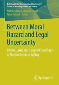 Between Moral Hazard and Legal Uncertainty