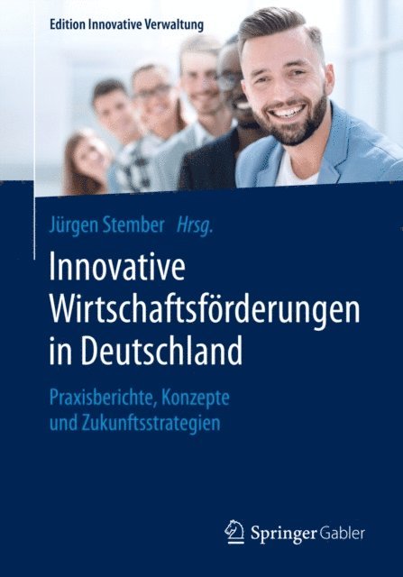 Jurgen Stember - Innovative Wirtschaftsförderungen in Deutschland, E-bok