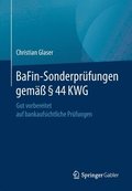 BaFin-Sonderprfungen gem  44 KWG