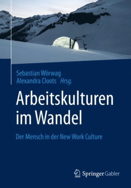Alexandra Cloots, Sebastian Worwag - Arbeitskulturen im Wandel, E-bok