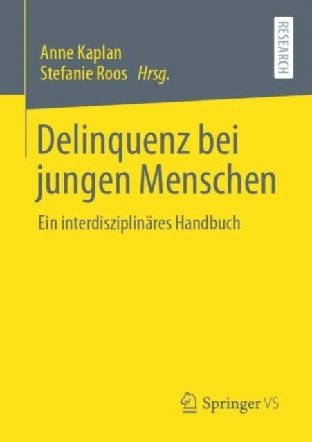 Stefanie Roos, Anne Kaplan - Delinquenz bei jungen Menschen, E-bok