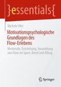 Motivationspsychologische Grundlagen des Flow-Erlebens