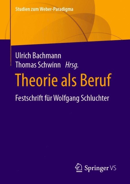 Thomas Schwinn, Ulrich Bachmann - Theorie als Beruf, E-bok