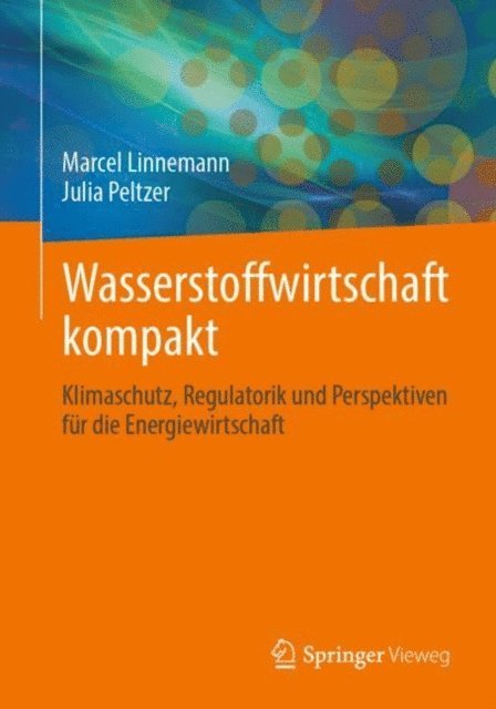 Julia Peltzer, Marcel Linnemann - Wasserstoffwirtschaft kompakt, E-bok