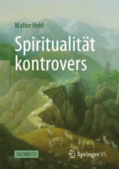 Walter Hehl - Spiritualität kontrovers, E-bok
