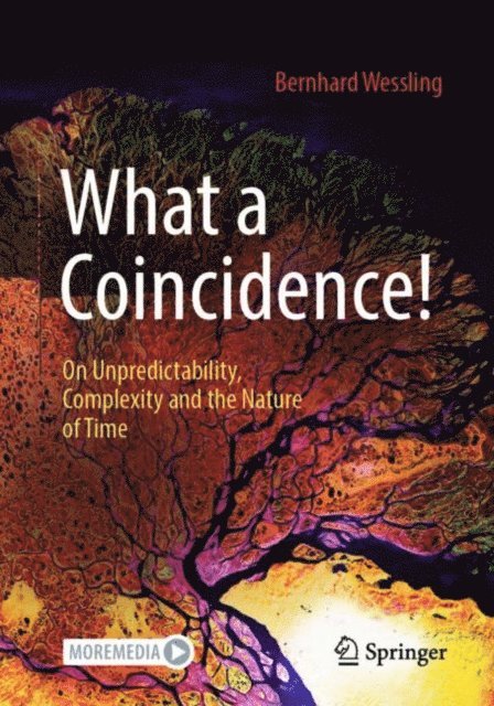 Bernhard Wessling - What a Coincidence!, E-bok