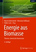 Energie aus Biomasse