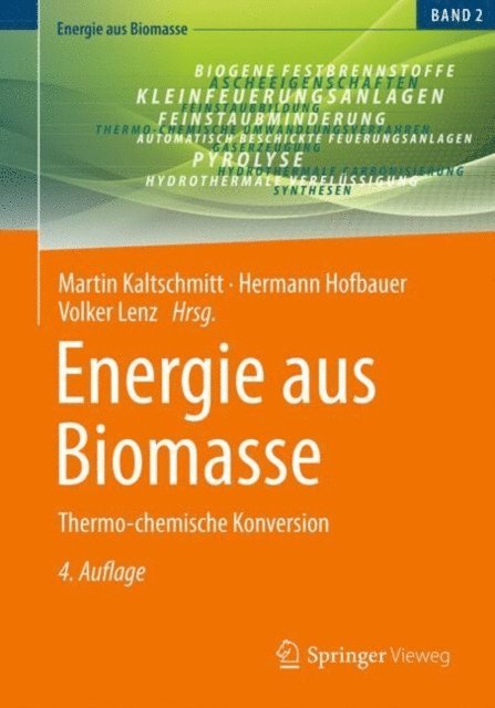 Volker Lenz, Hermann Hofbauer, Martin Kaltschmitt - Energie aus Biomasse, E-bok