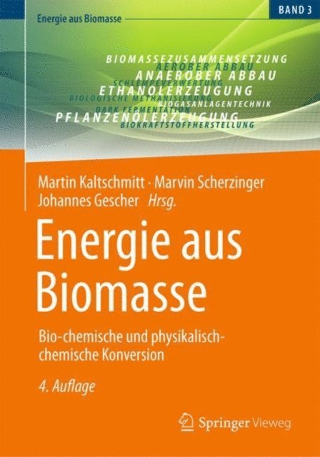 Johannes Gescher, Marvin Scherzinger, Martin Kaltschmitt - Energie aus Biomasse, E-bok