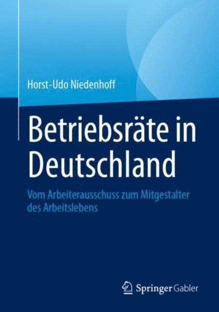 Horst-Udo Niedenhoff - Betriebsräte in Deutschland, E-bok