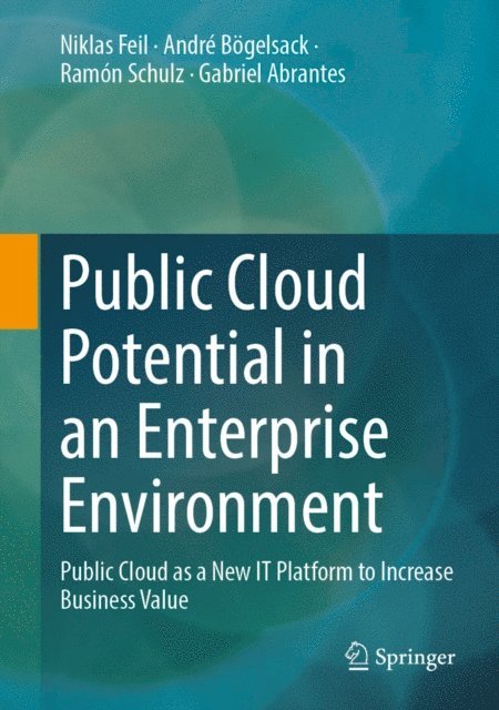 Gabriel Abrantes, Ramon Schulz, Andre Bogelsack, Niklas Feil - Public Cloud Potential in an Enterprise Environment, E-bok