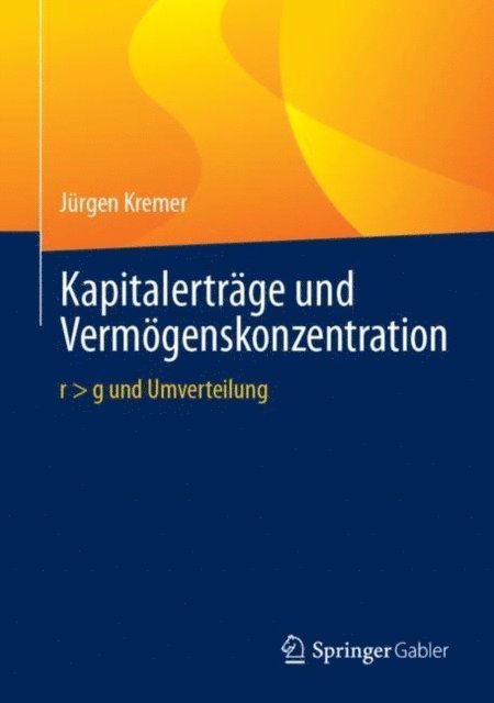 Jurgen Kremer - Kapitalerträge und Vermögenskonzentration, E-bok