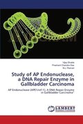 Study of AP Endonuclease, a DNA Repair Enzyme in Gallbladder Carcinoma