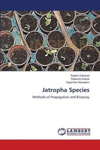 Jatropha Species