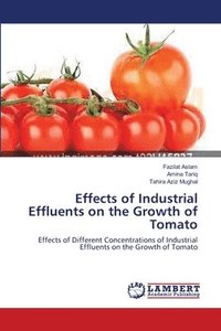 Effects of Industrial Effluents on the Growth of Tomato