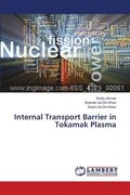 Internal Transport Barrier in Tokamak Plasma
