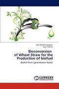 Bioconversion of Wheat Straw for the Production of Biofuel