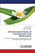 Ultrastructural Study of Keratinocytes and Melanocytes