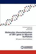 Molecular characterization of SRY gene in Murrah buffaloes