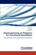 Electrospinning of Polymers for Functional Nanofibres